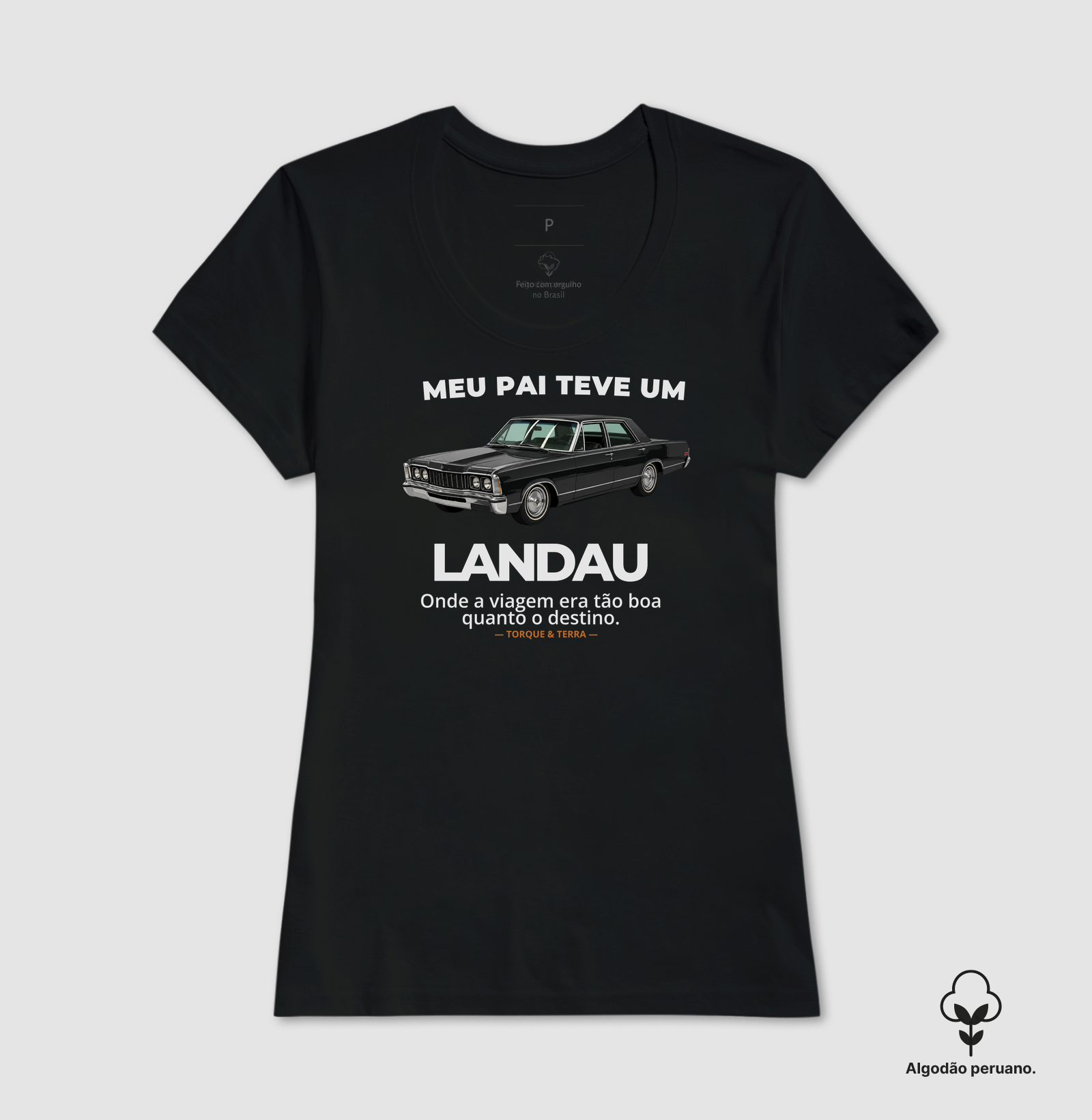 Meu pai teve um - LANDAU - Imagem 8