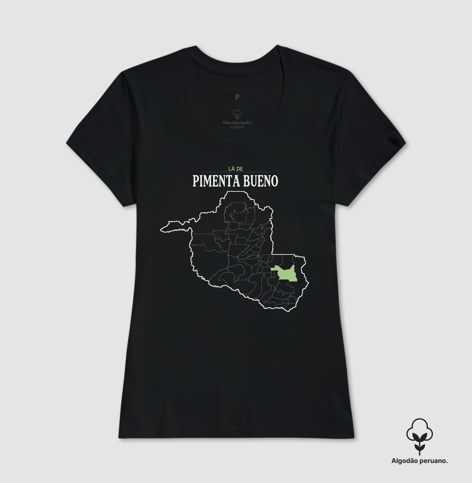 Pimenta Bueno | Território RO - Imagem 5