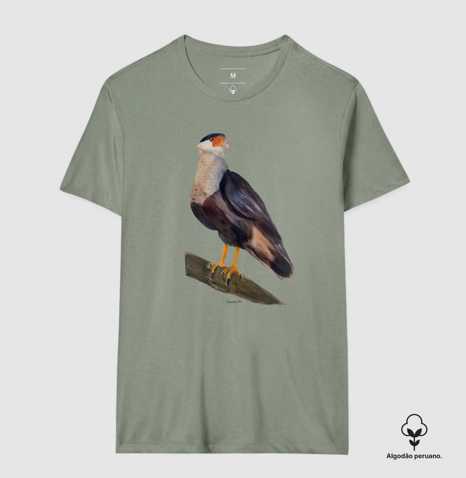 Camiseta Carcará – Aves do Brasil Algodão Peruano - Imagem 10