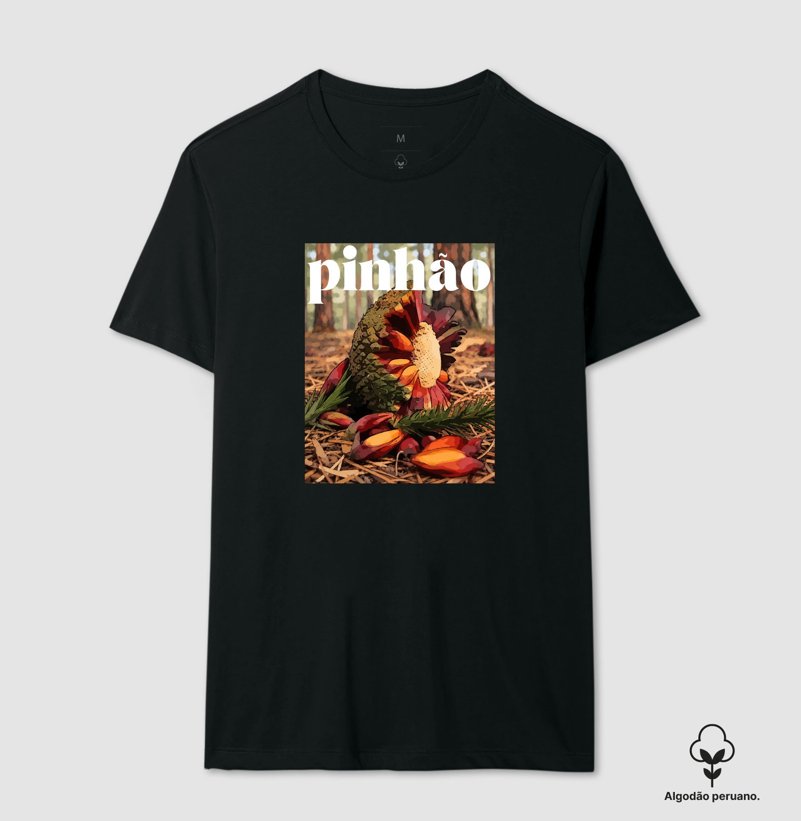 Pinhão - Imagem 2