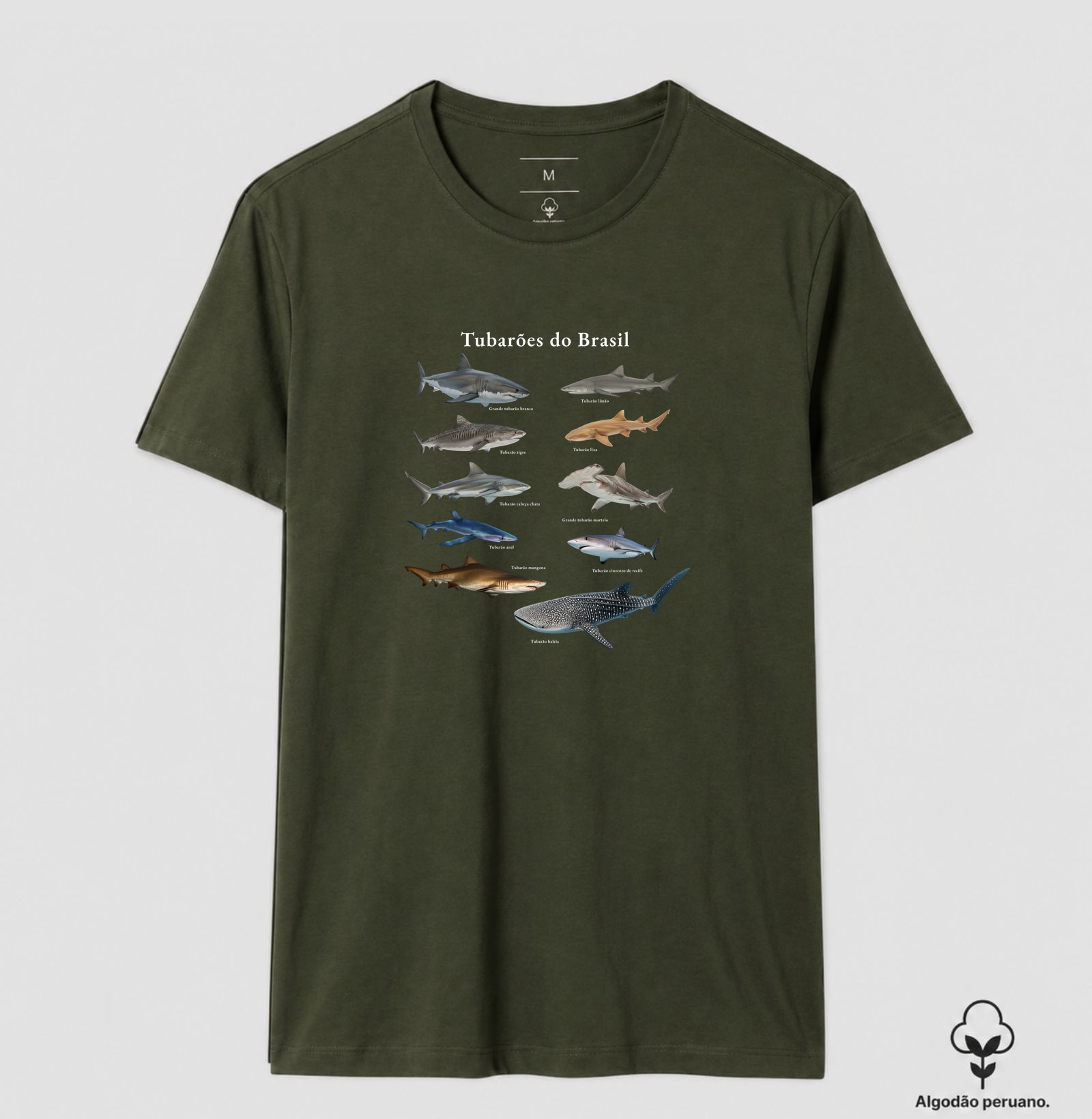 Camisa 7