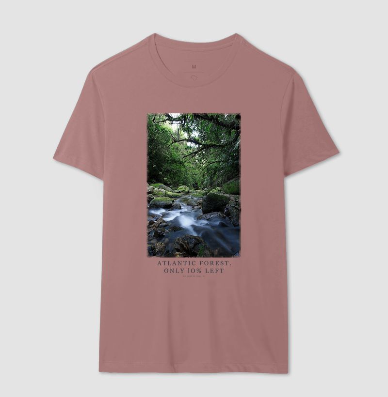 Atlantic Forest - Imagem 10