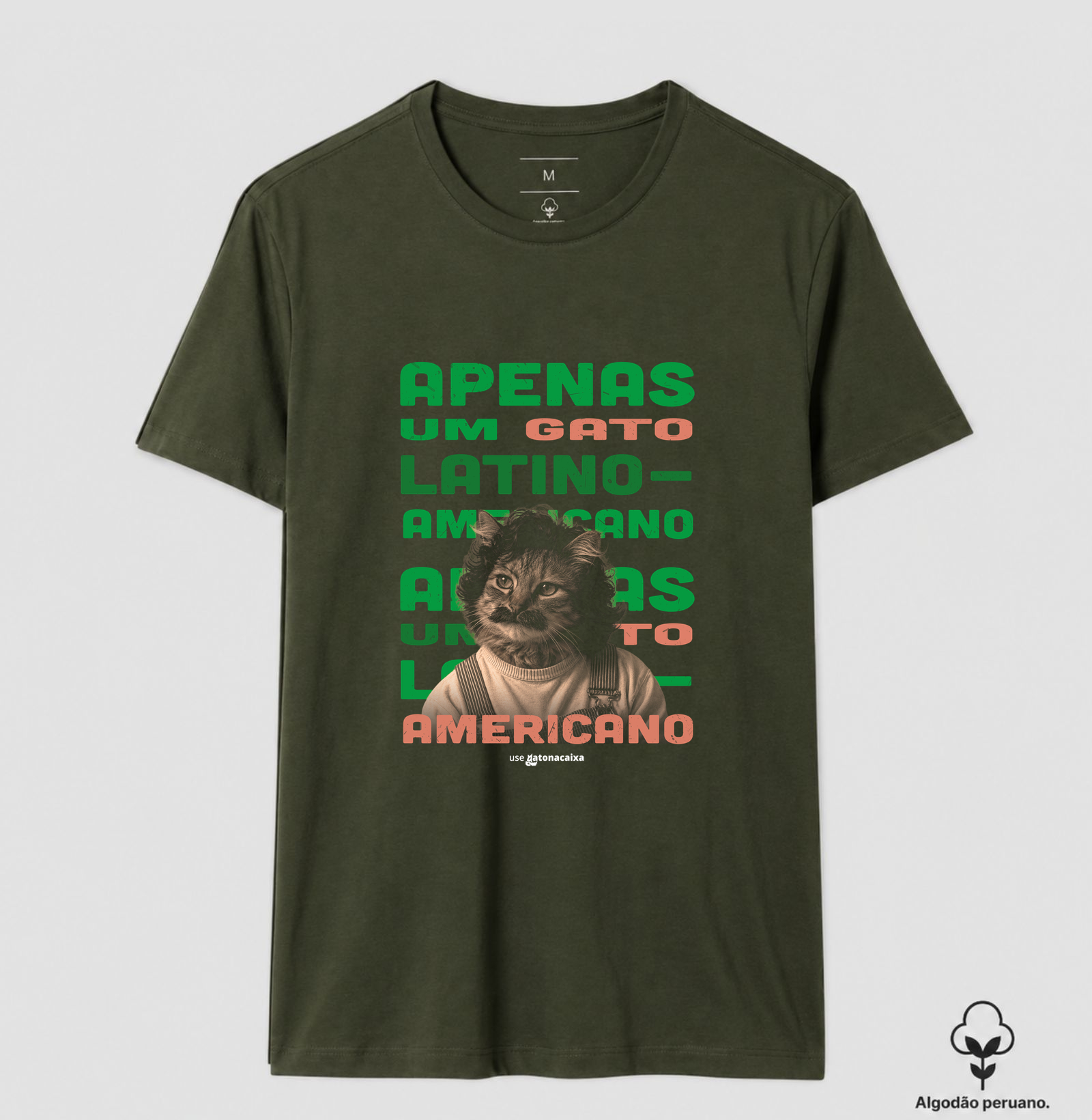 Apenas um gato latino-americano - Imagem 8