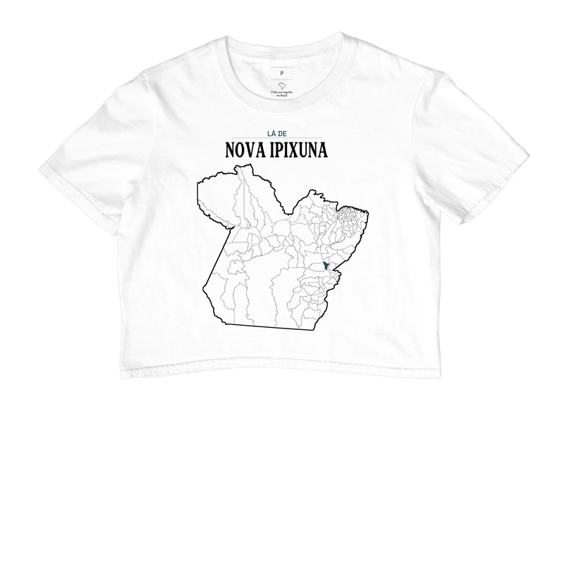 Nova Ipixuna | Território PA - Imagem 3