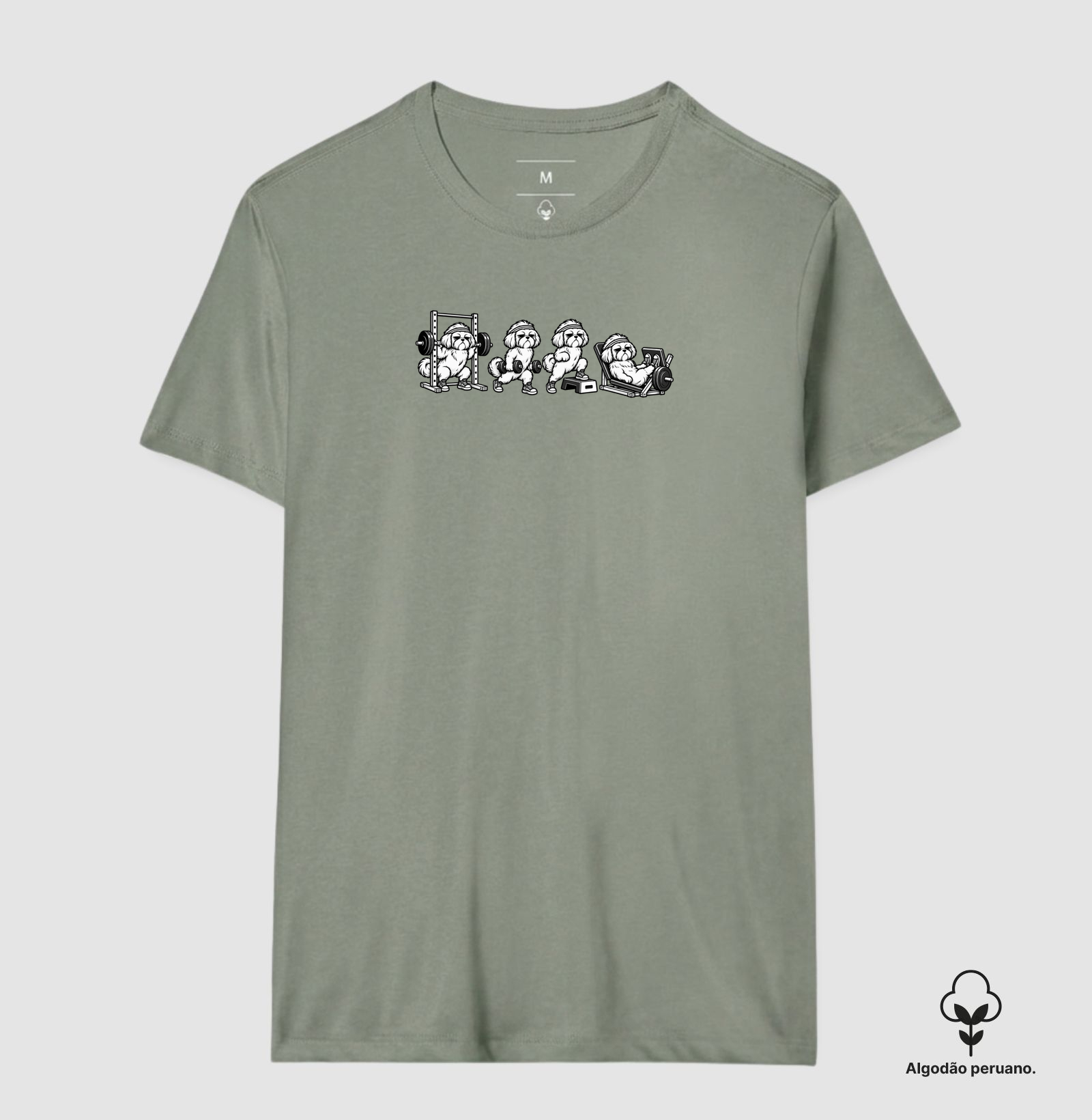 Shih Tzu Gym - Imagem 9