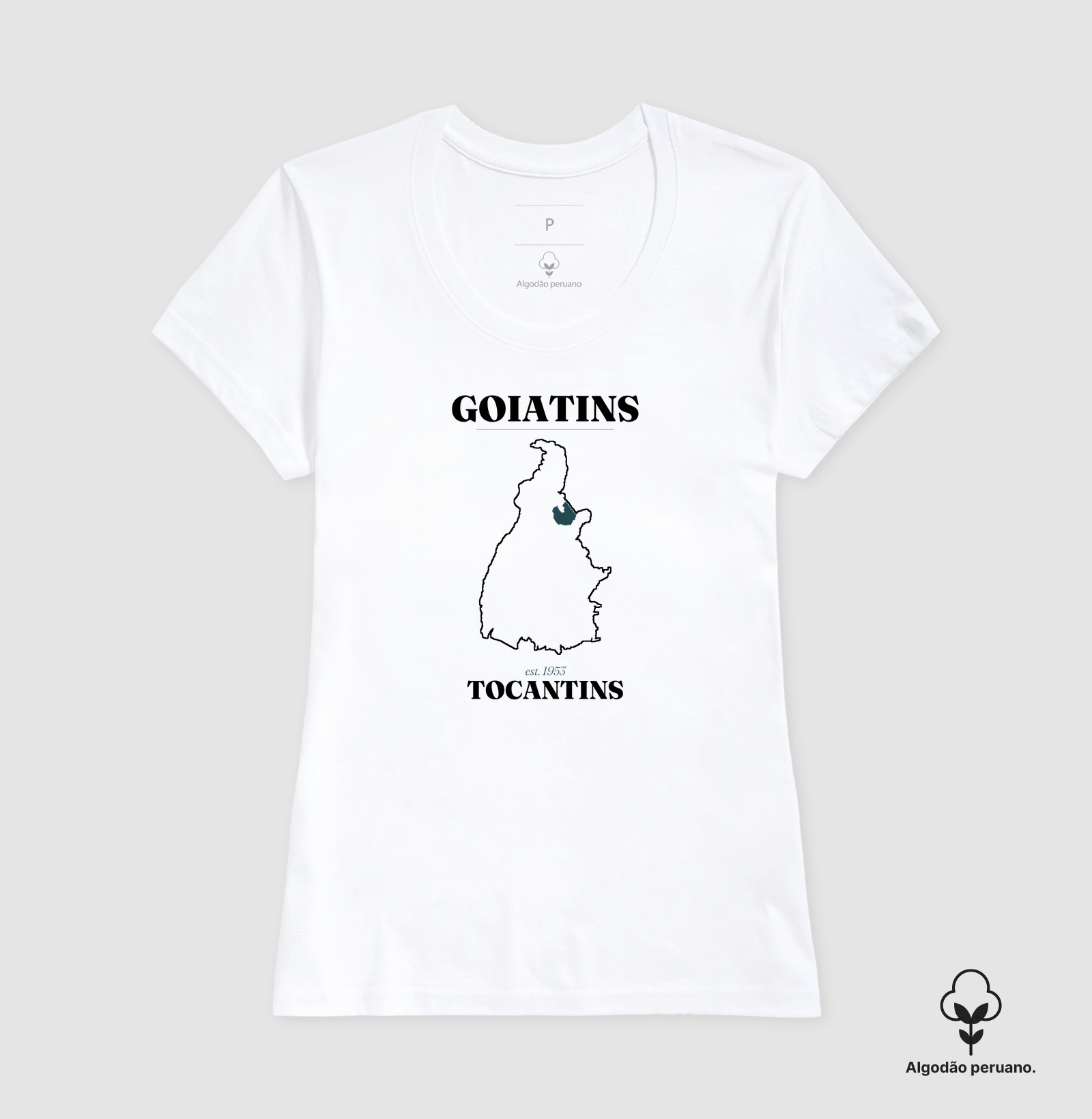 Goiatins | Legado TO - Imagem 5