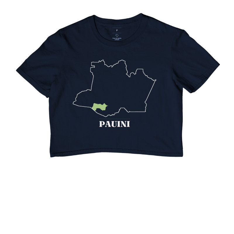 Pauini | Traço AM - Imagem 4