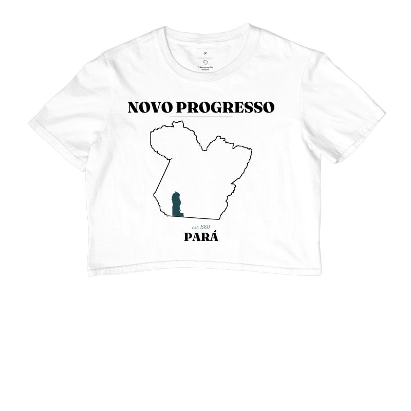 Novo Progresso | Legado PA - Imagem 3