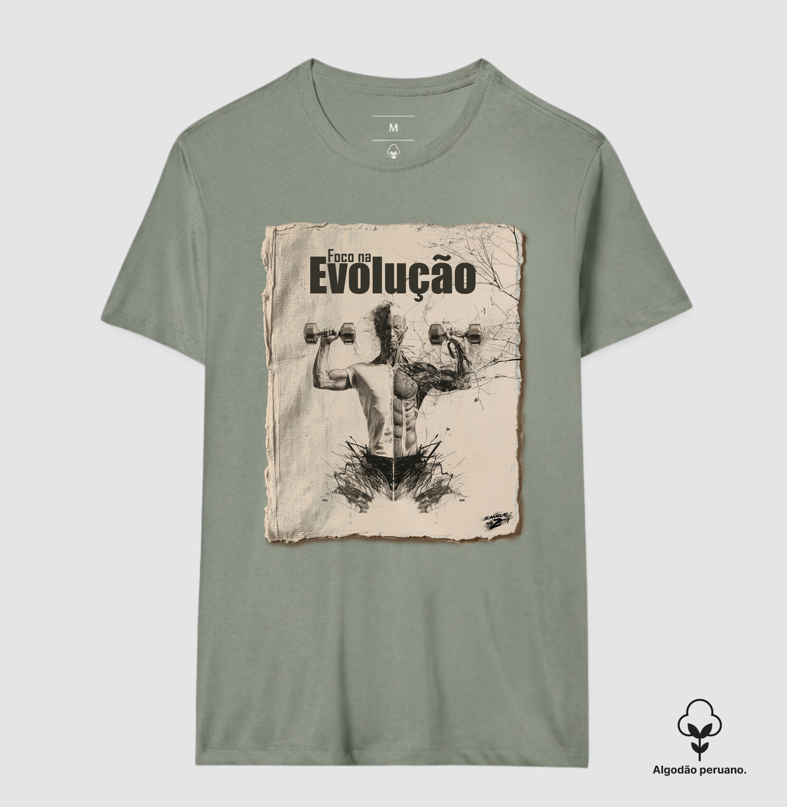 Foco na Evolução 01 - Imagem 7