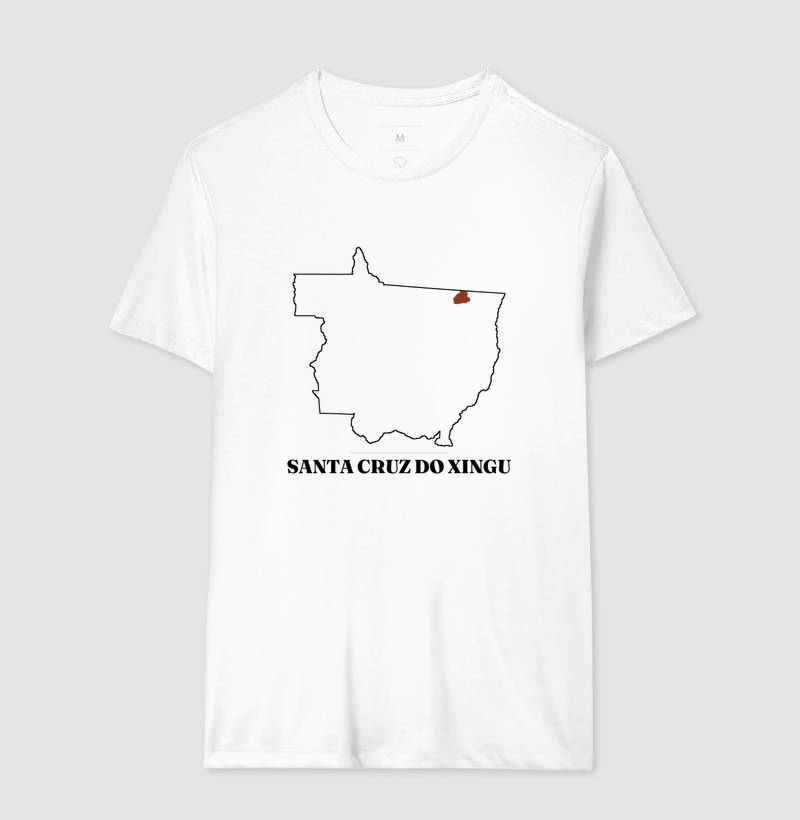 Santa Cruz do Xingu | Traço MT - Imagem 4