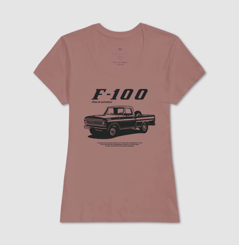 F-100 | Alma de Automóvel - Imagem 20