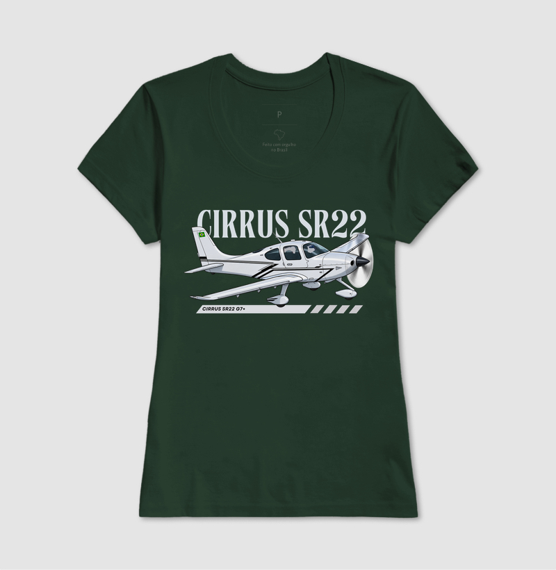 Cirrus SR22 G7+ - Imagem 11
