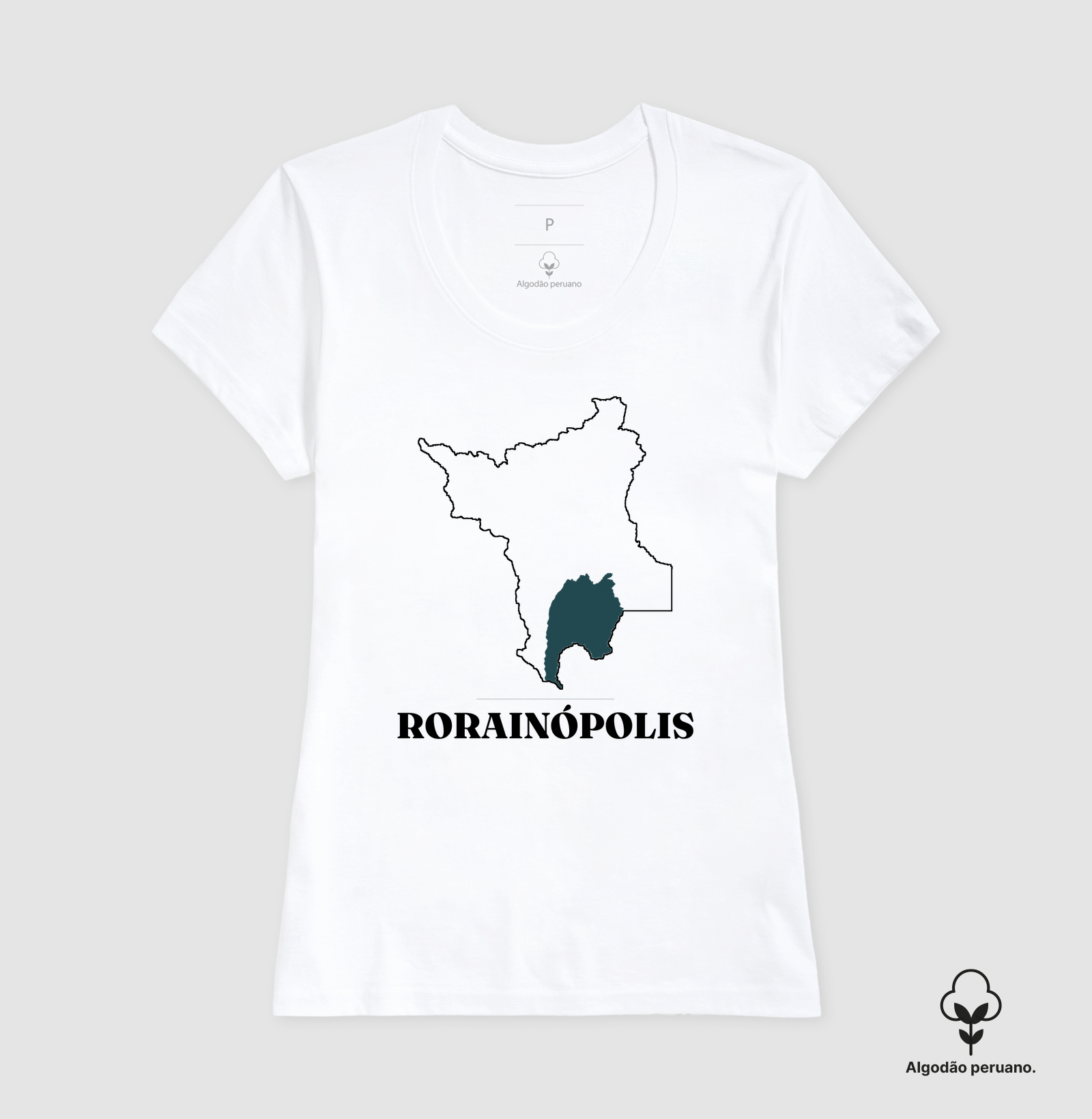 Rorainópolis | Traço RR - Imagem 8