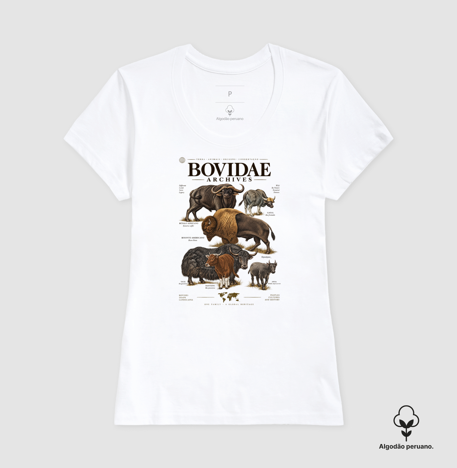 Bovidae Archives - Imagem 3