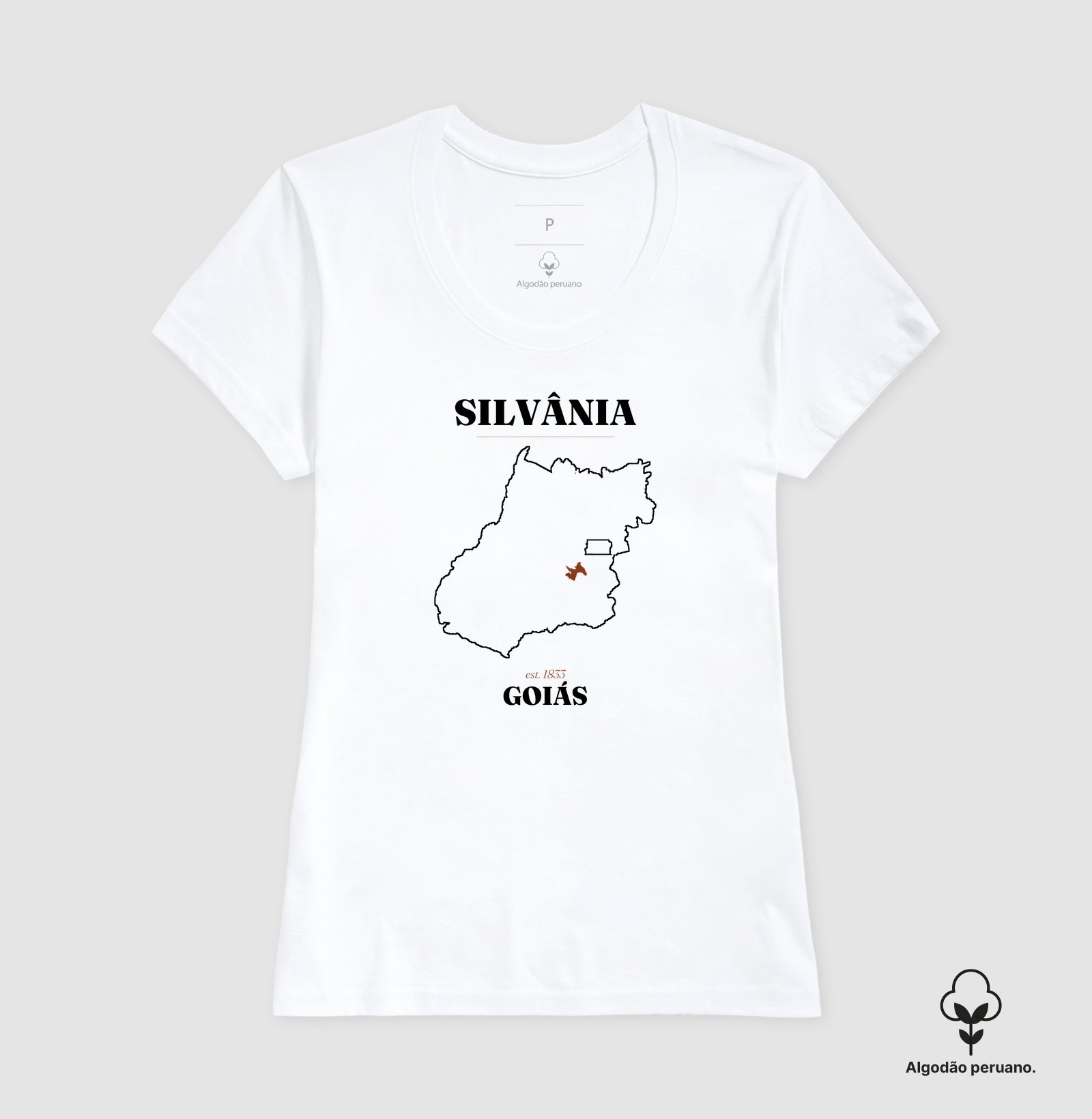 Silvânia | Legado GO - Imagem 7