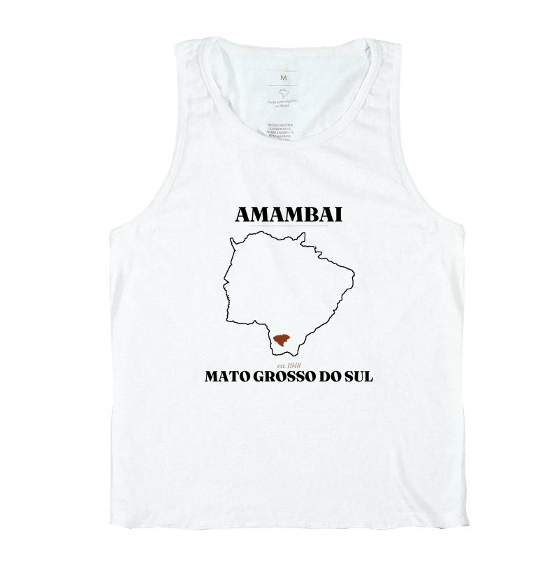 Amambai | Legado MS - Imagem 2
