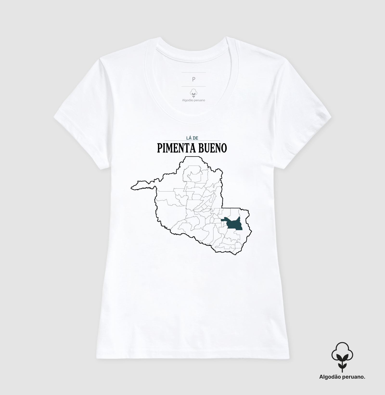 Pimenta Bueno | Território RO - Imagem 7