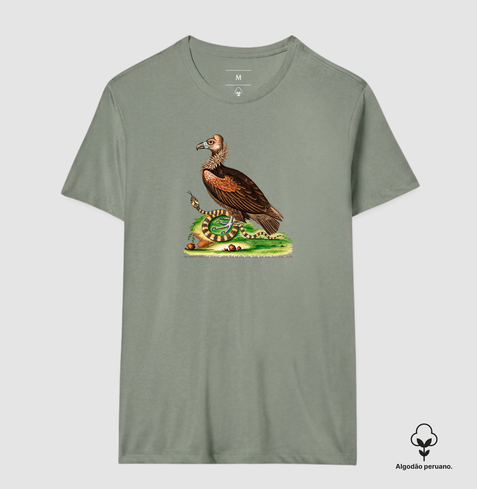 Camiseta Abutre e Serpente — História Natural do Século XVIII - Imagem 10