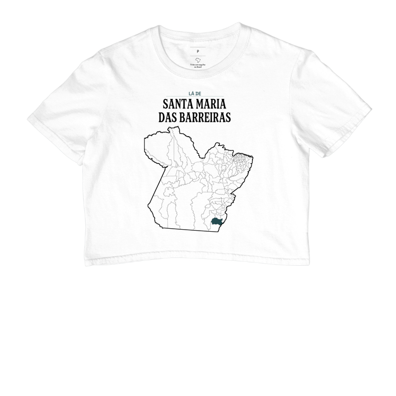 Santa Maria das Barreiras | Território PA - Imagem 3