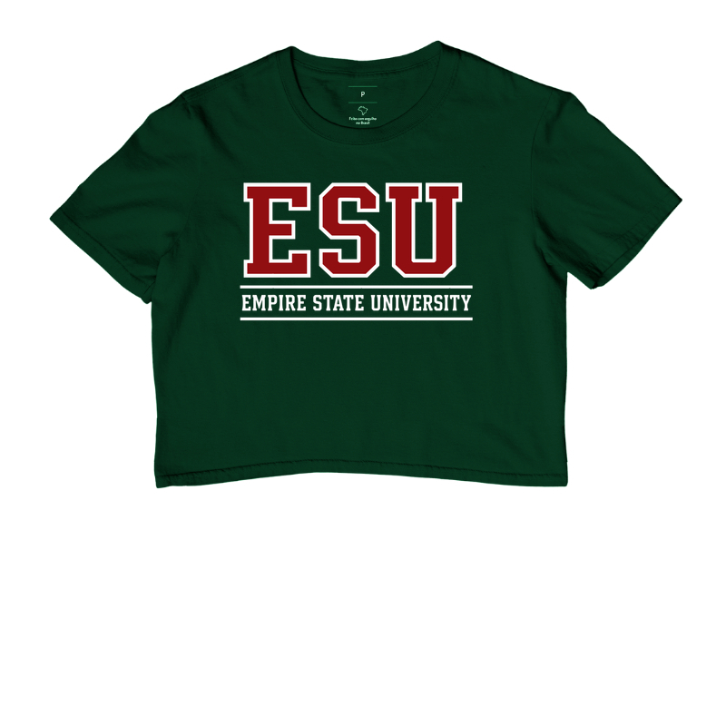 Empire State University - Imagem 4