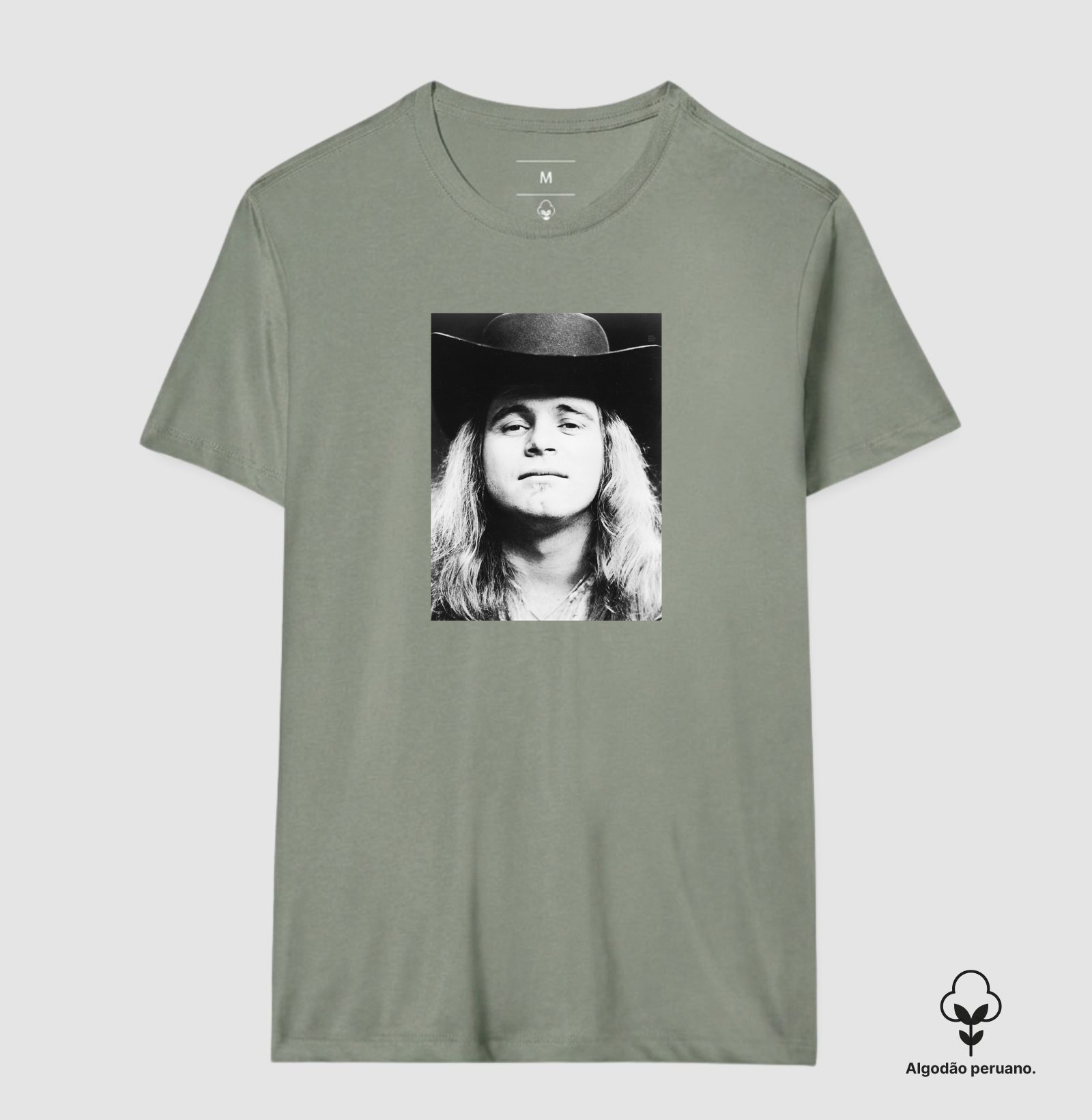 Ronnie Van Zant - Imagem 8