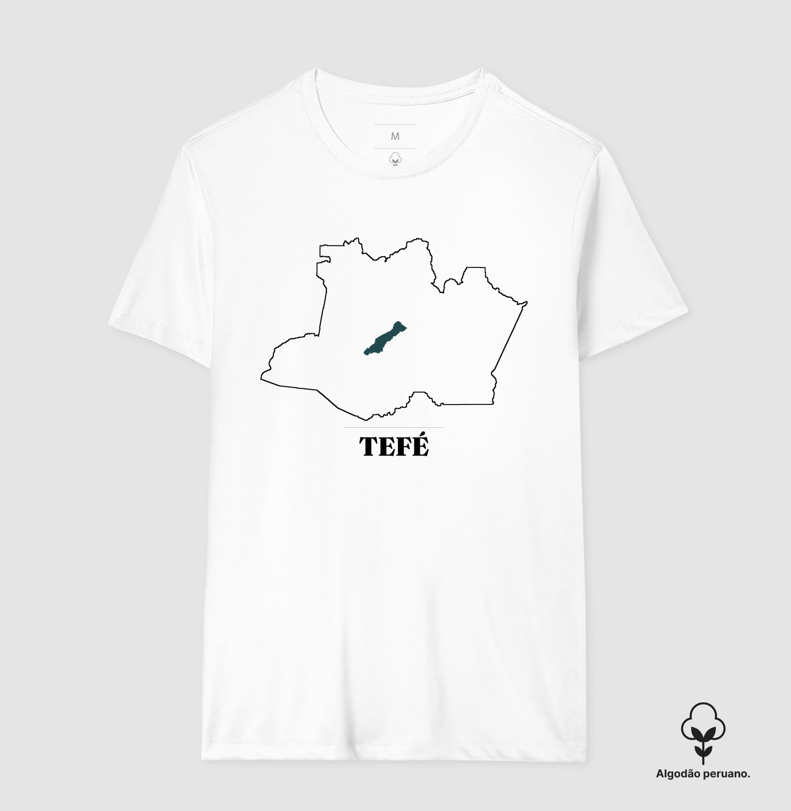 Tefé | Traço AM - Imagem 7