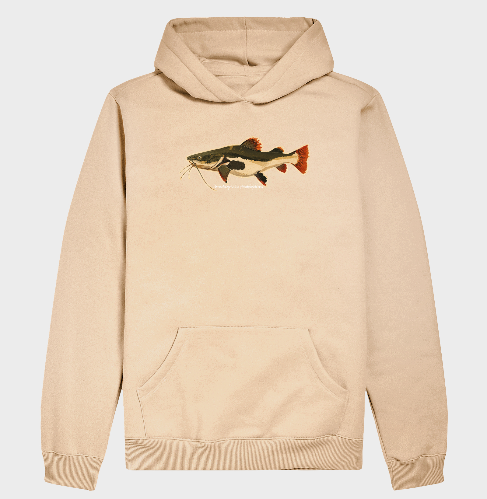 Pirarara 🐟 - Imagem 5