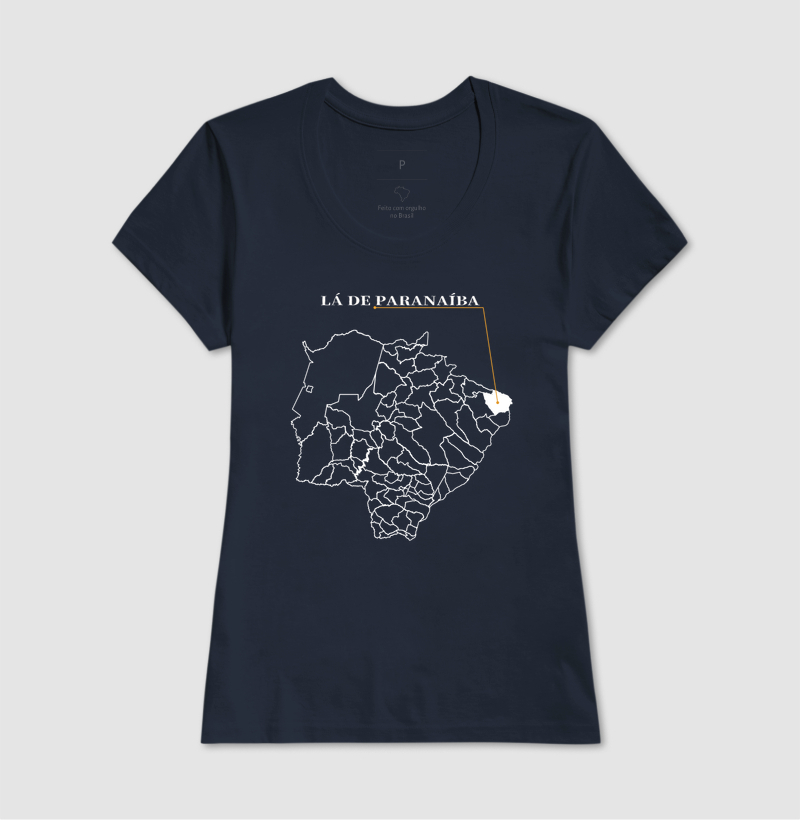 Paranaíba | Origem MS - Imagem 7