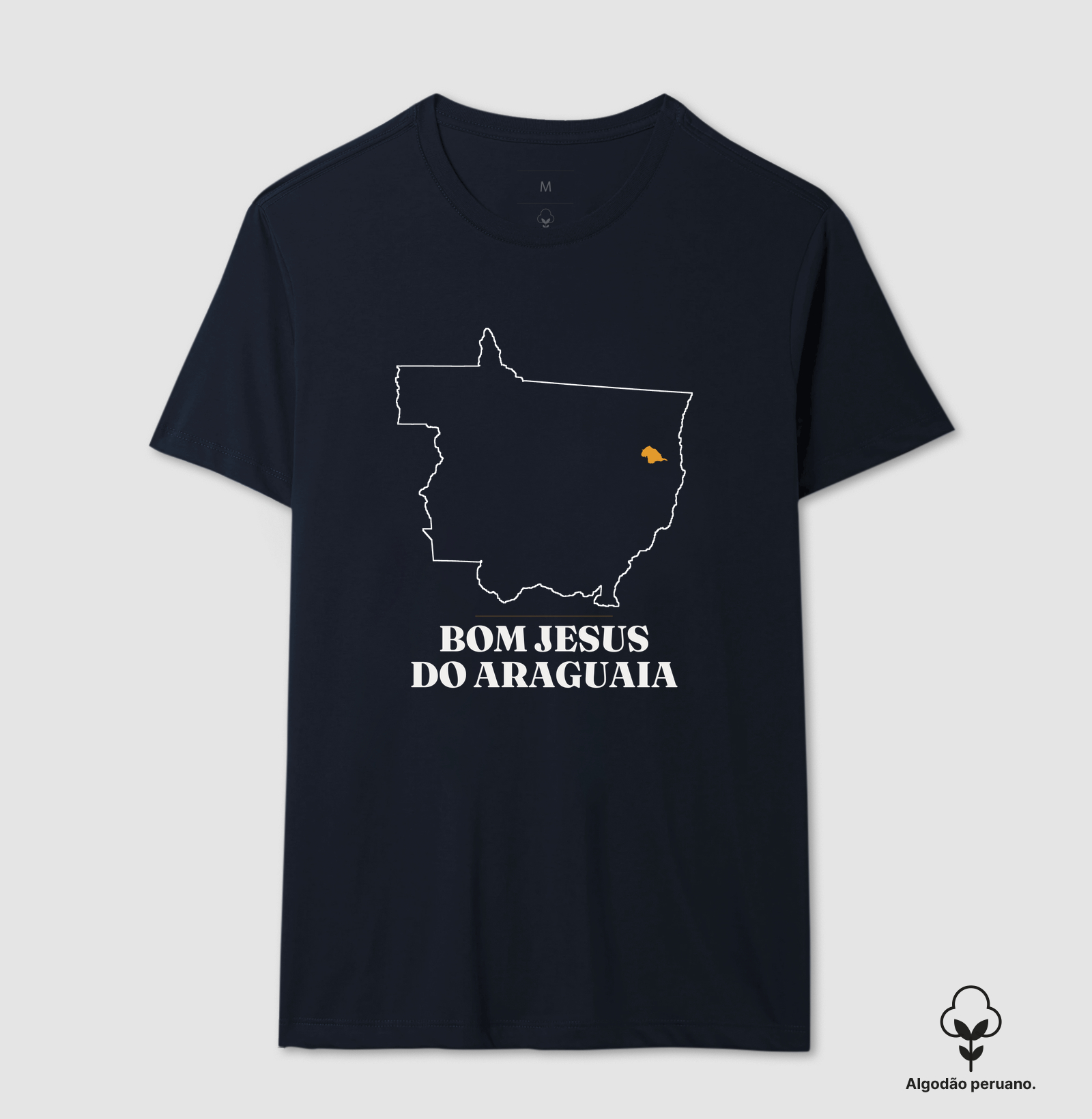 Bom Jesus do Araguaia | Traço MT - Imagem 7