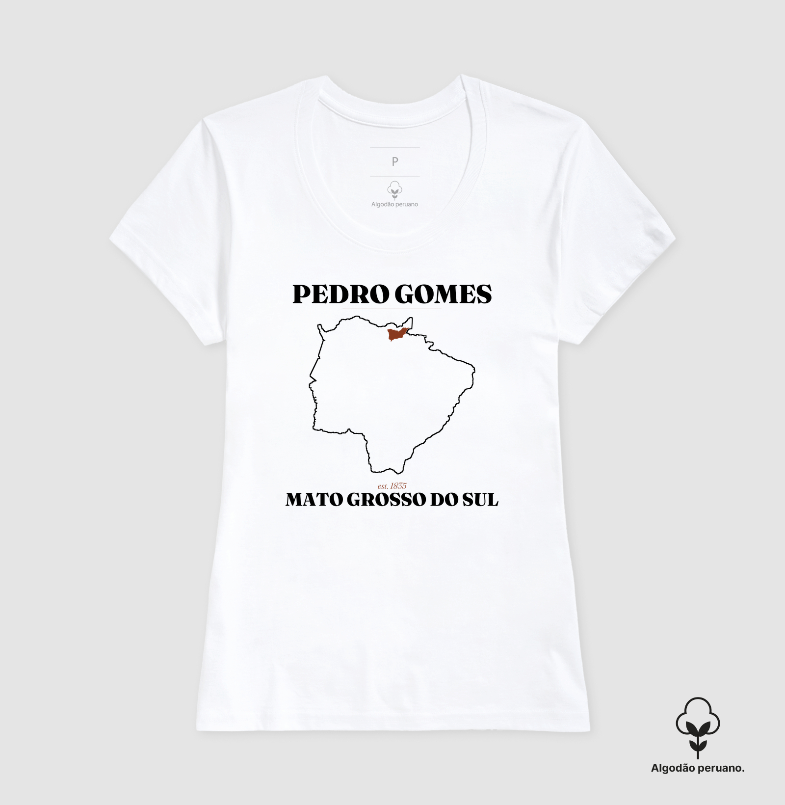 Pedro Gomes | Legado MS - Imagem 6