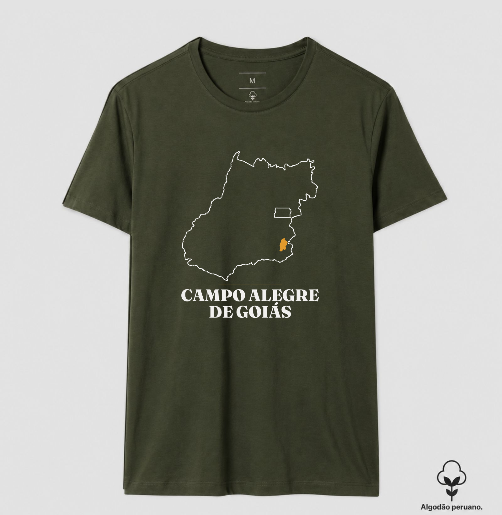 Campo Alegre de Goiás | Traço GO - Imagem 5