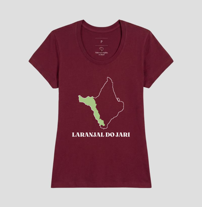Laranjal do Jari | Traço AP - Imagem 19