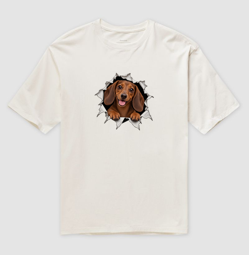 Dachshund Saindo Pelo Rasgo - Imagem 4