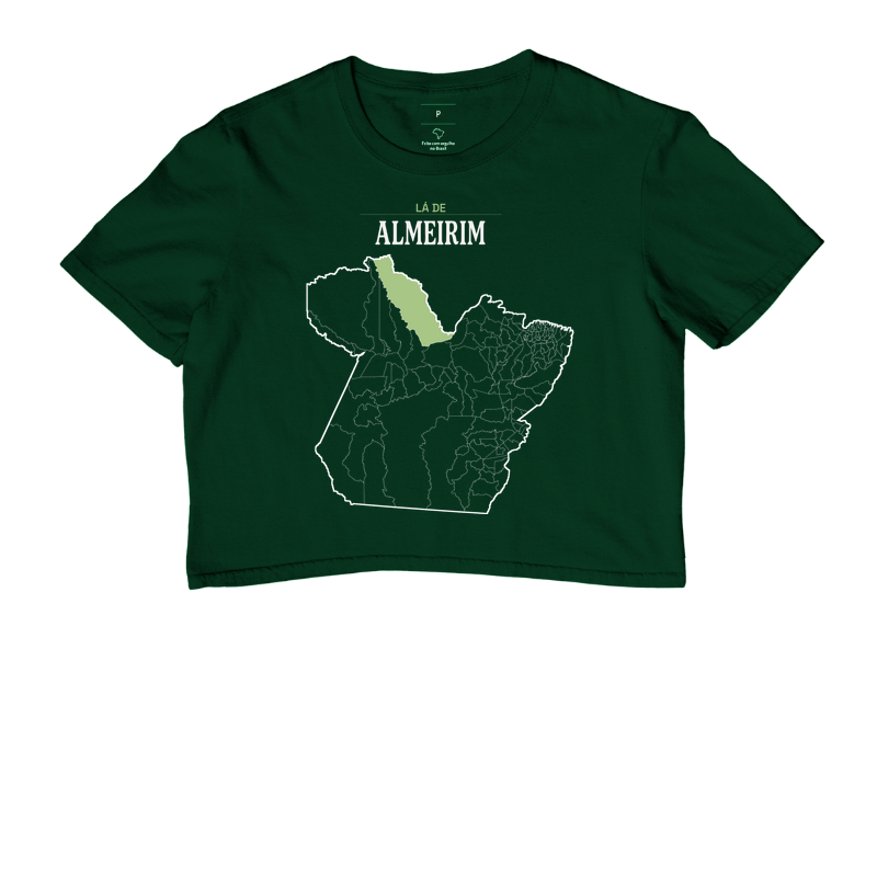 Almeirim | Território PA - Imagem 5
