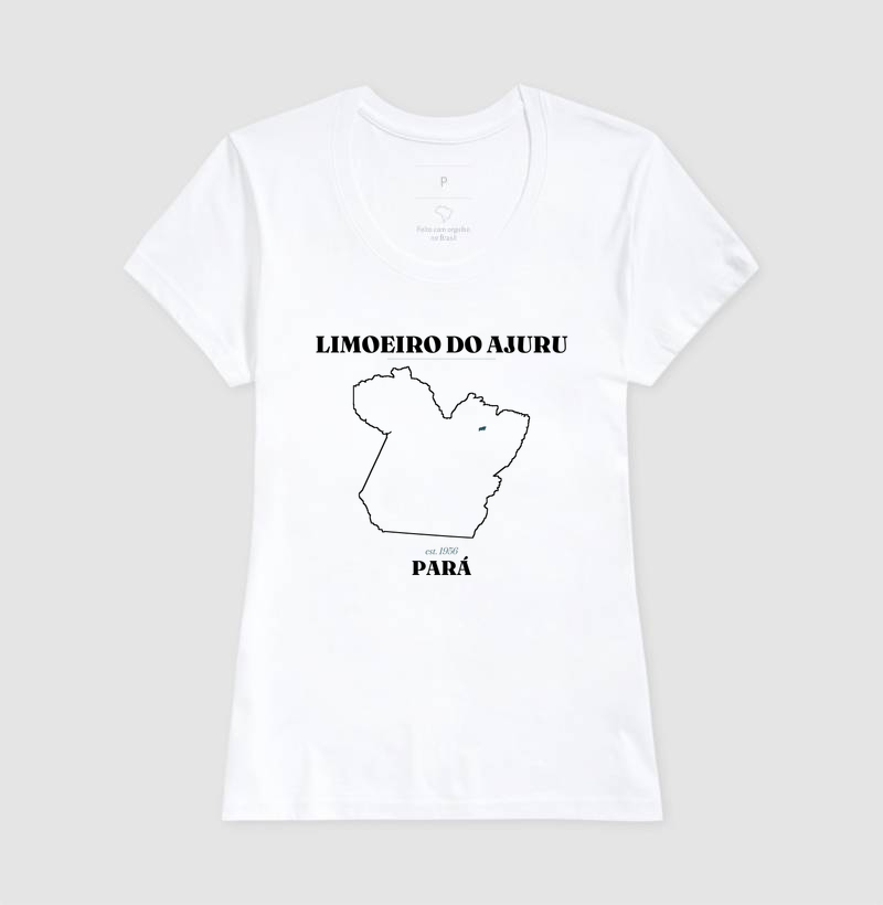 Limoeiro do Ajuru | Legado PA - Imagem 5