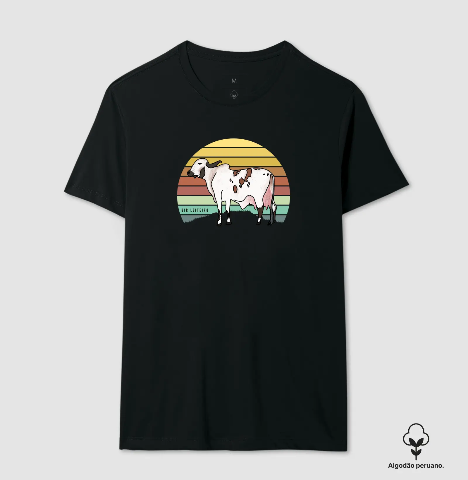 Ilustrado - gir leiteiro - Imagem 2