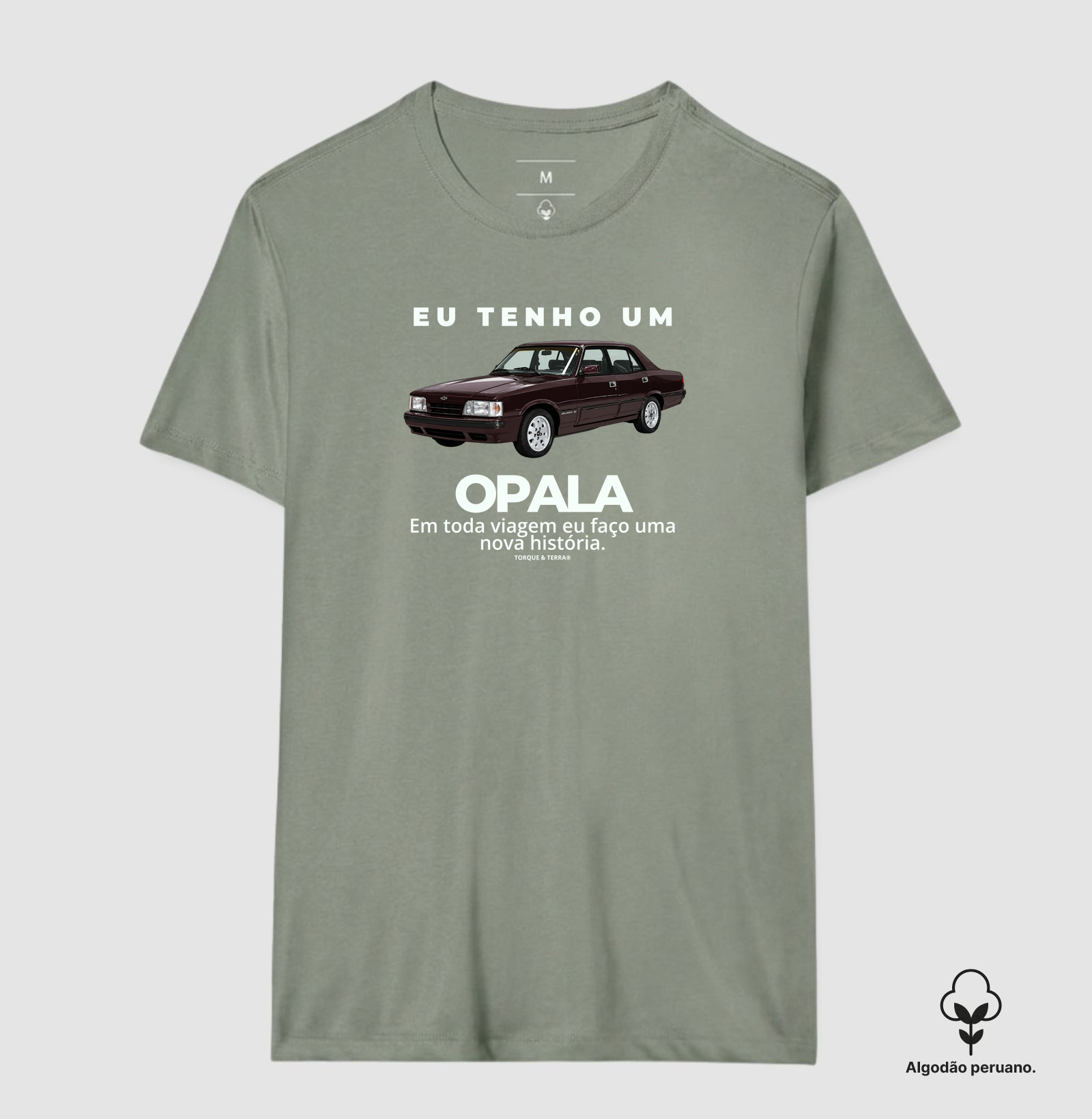 Eu tenho um Opala Diplomata vinho - Imagem 8
