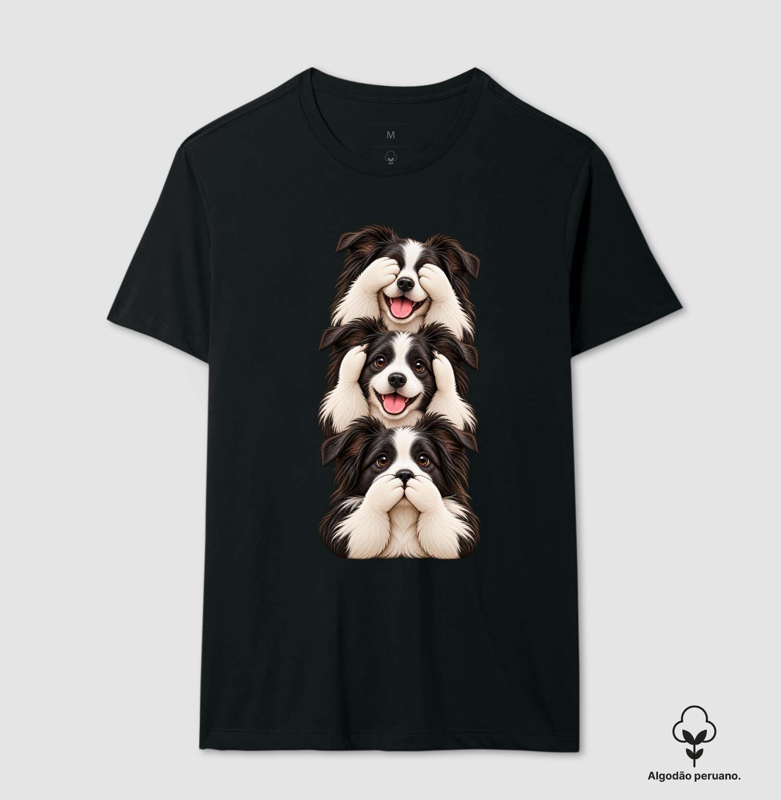 Ver, ouvir e falar Border Collie - Imagem 2