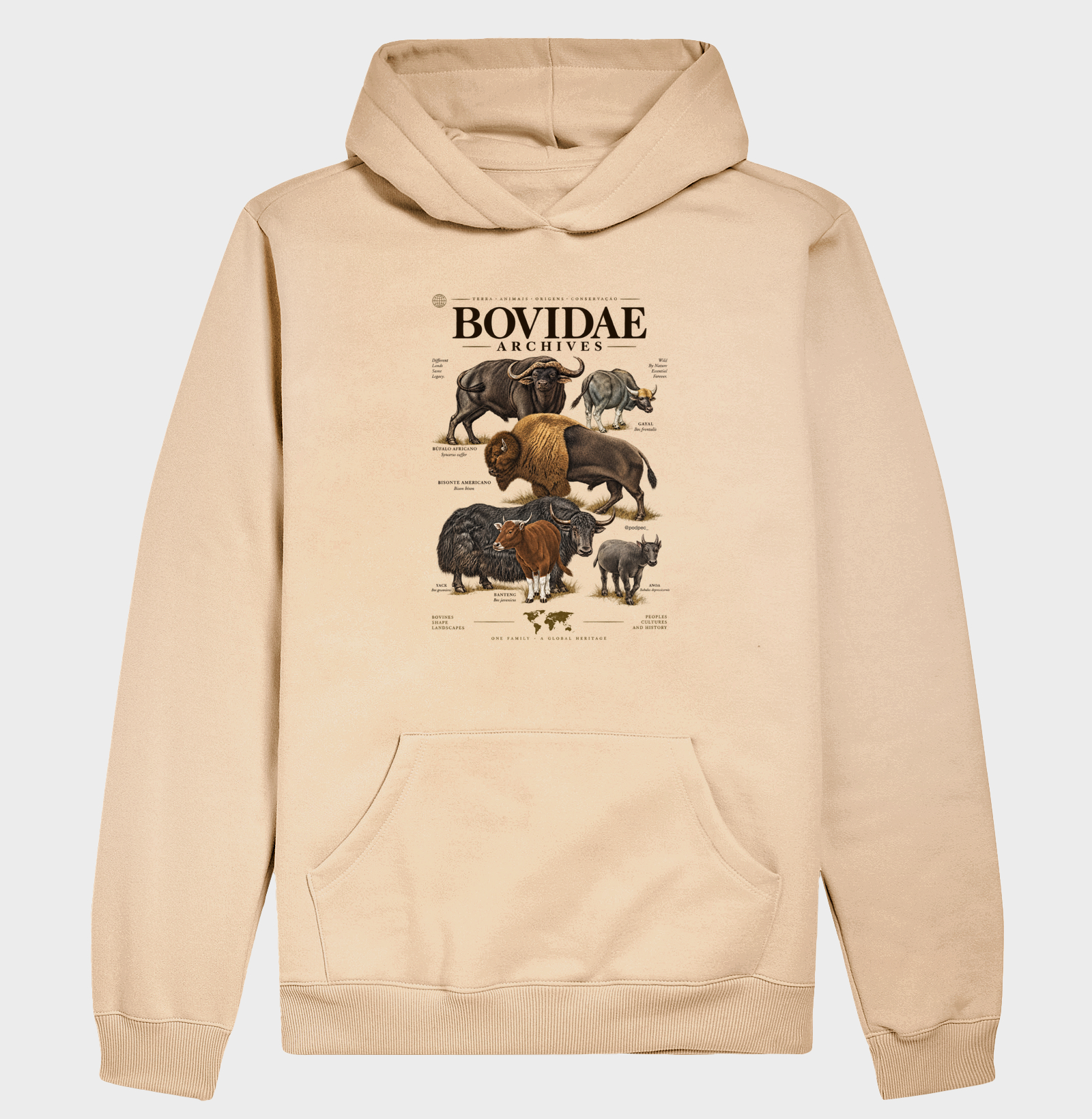 Bovidae Archives - Imagem 5