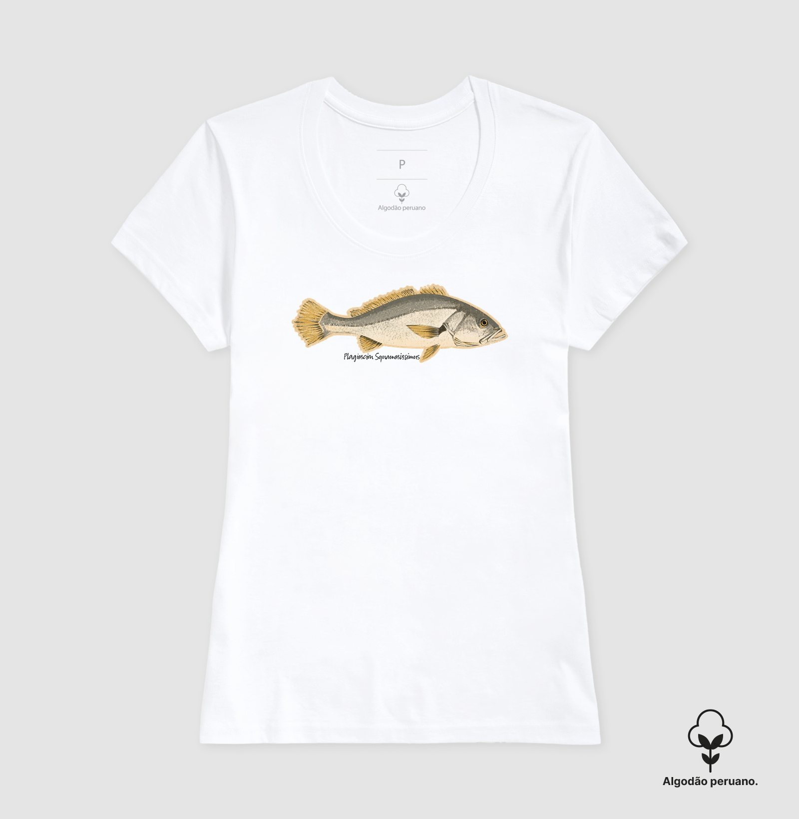 🎣 Corvina 🐟 - Imagem 7
