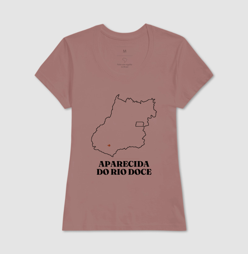 Aparecida do Rio Doce | Traço GO - Imagem 17