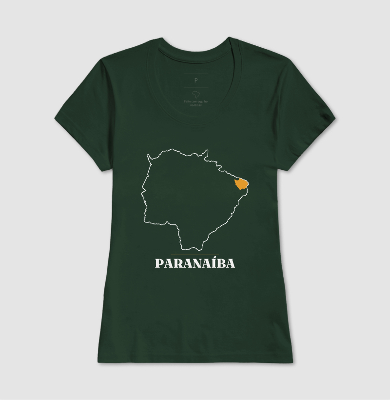 Paranaíba | Traço MS - Imagem 13