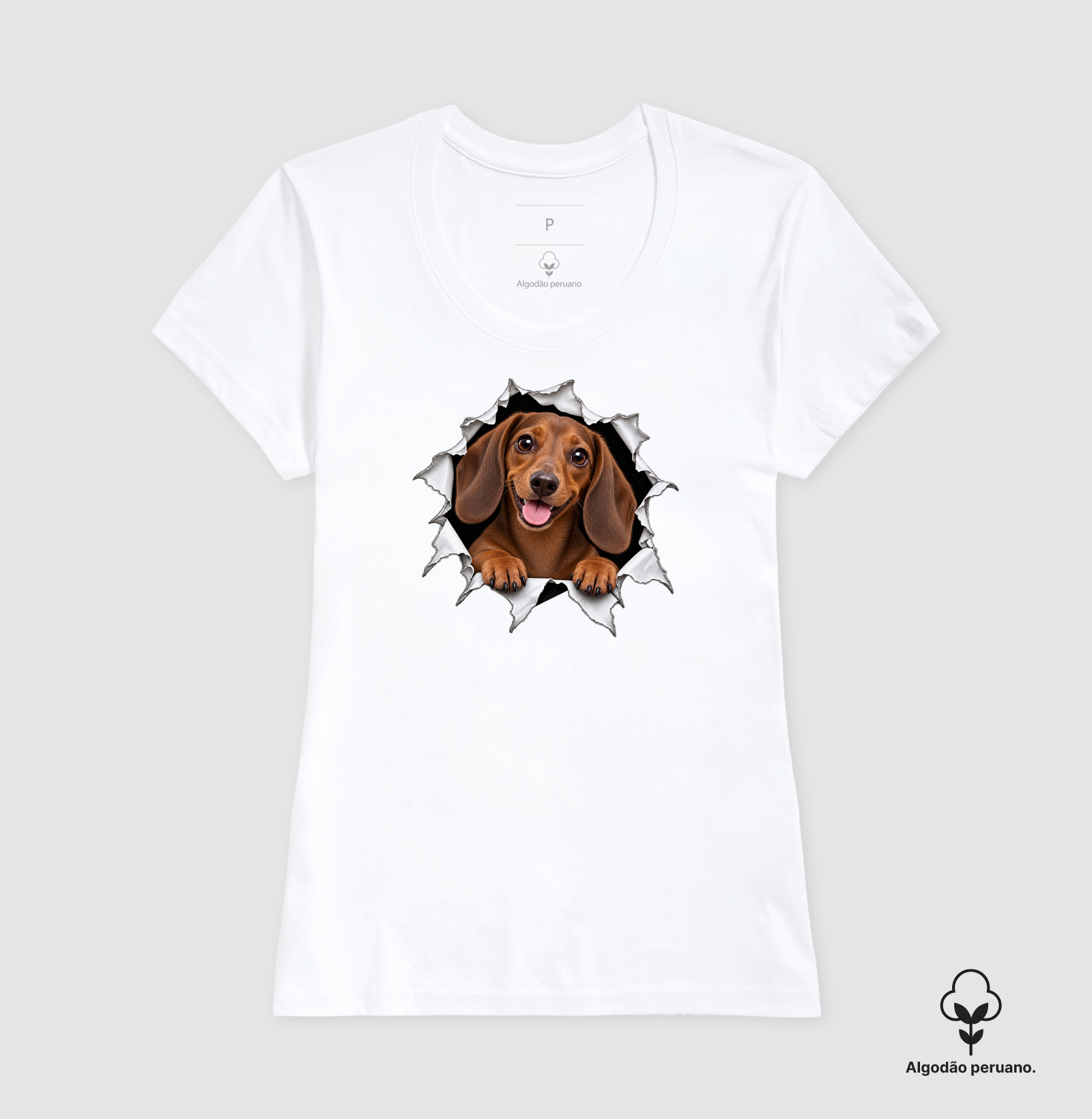 Dachshund Saindo Pelo Rasgo - Imagem 7