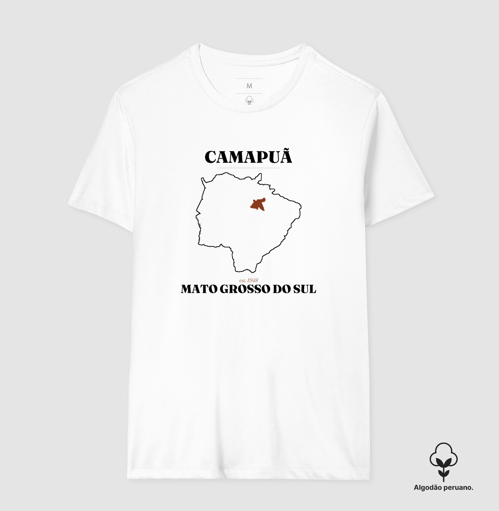 Camapuã | Legado MS - Imagem 5