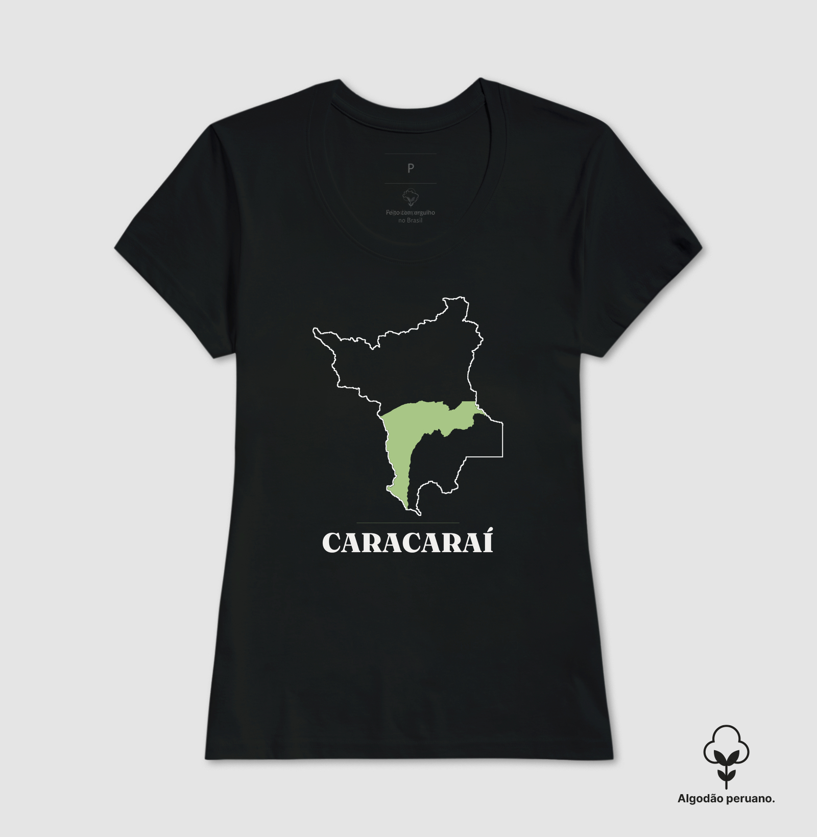 Caracaraí | Traço RR - Imagem 4