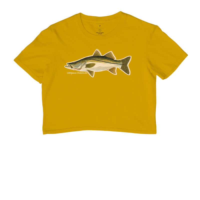 Robalo - Imagem 8