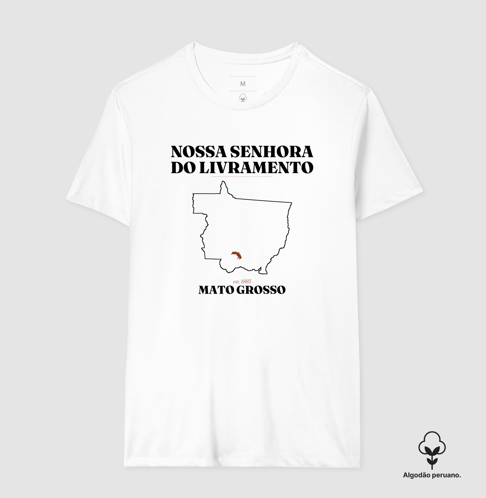 Nossa Senhora do Livramento | Legado MT - Imagem 4