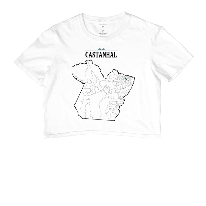 Castanhal | Território PA - Imagem 3