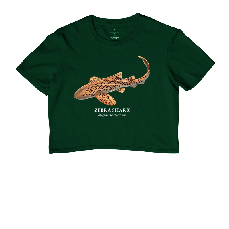 Zebra Shark - Imagem 8