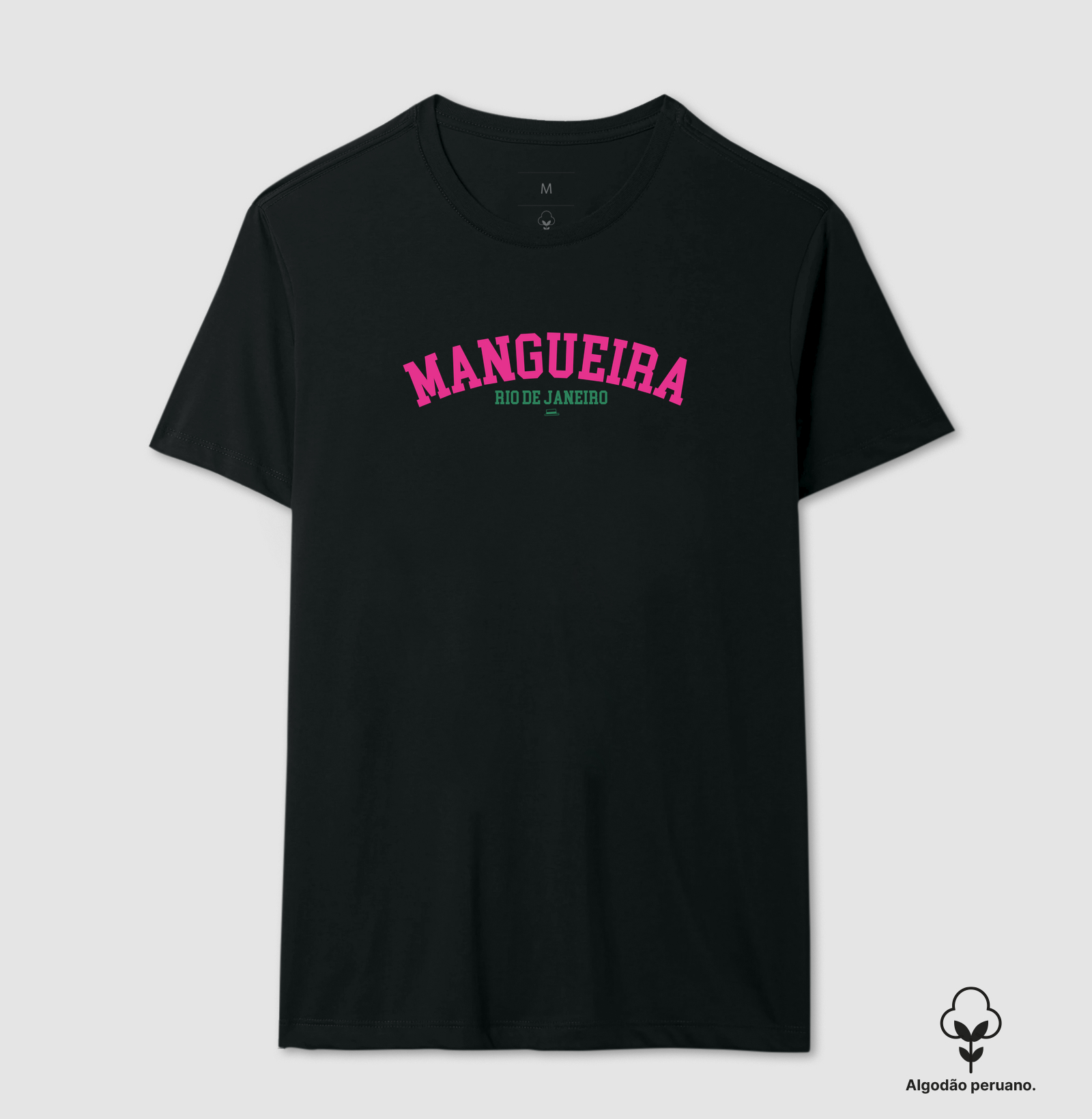 Mangueira - Imagem 4